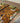 Handmade Modern Tiger Face Jungle Theme Animal Print Wool Carpet