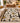 Bloom Noir Modern Floral Area Rug