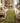 Sage Vine Hand Tufted Wool Runner Rug