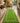 Emerald Border Hand Tufted Wool Runner
